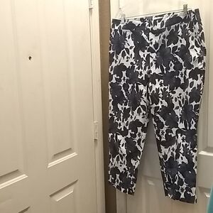 FINAL MARKDOWN Eliane rose slacks 18w